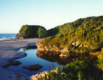 Southern West Coast of south NZ!