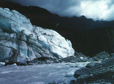 Fox Glacier