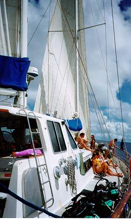 sailing the Whitsundays