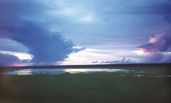 dusk over Kakadu, viewed from Ubirr