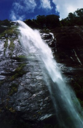 Waterfall at Milford Sound